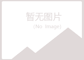 白银平川南松律师有限公司